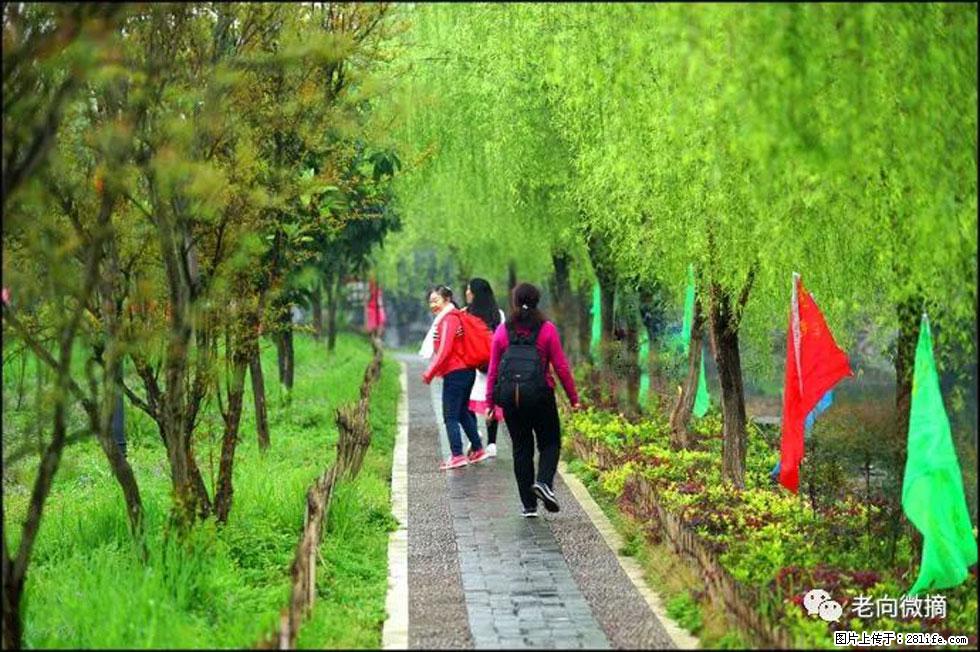 【春天，广西桂林灌阳县向您发出邀请！】江口老街又逢春 - 游山玩水 - 开封生活社区 - 开封28生活网 kaifeng.28life.com