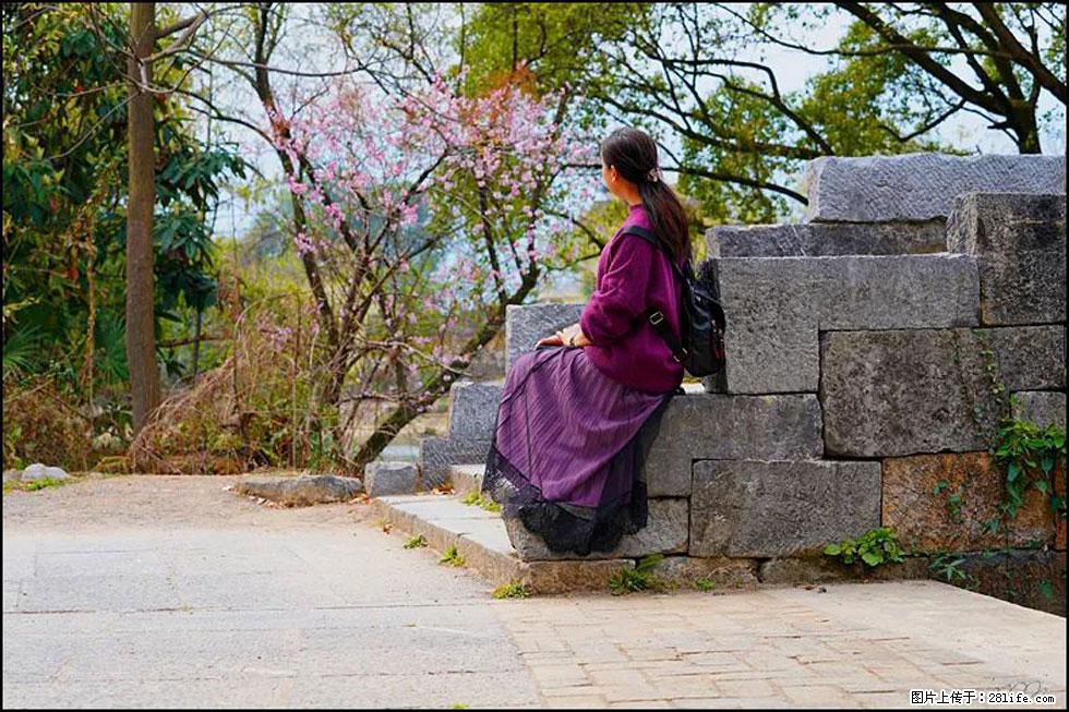 【春天，广西桂林灌阳县向您发出邀请！】江口老街又逢春 - 游山玩水 - 开封生活社区 - 开封28生活网 kaifeng.28life.com