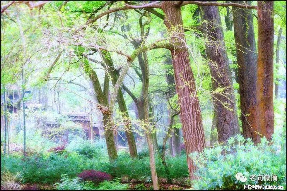 【春天,广西桂林灌阳县向您发出邀请!】在小龙村与春天约会 - 游山玩水 - 开封生活社区 - 开封28生活网 kaifeng.28life.com