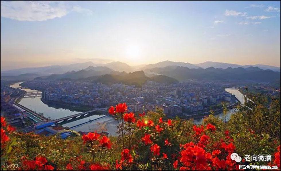 【春天，广西桂林灌阳县向您发出邀请！】登麒麟山，相约映山红 - 游山玩水 - 开封生活社区 - 开封28生活网 kaifeng.28life.com