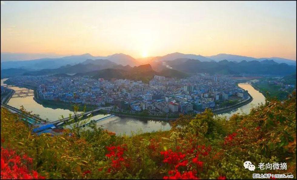 【春天，广西桂林灌阳县向您发出邀请！】登麒麟山，相约映山红 - 游山玩水 - 开封生活社区 - 开封28生活网 kaifeng.28life.com