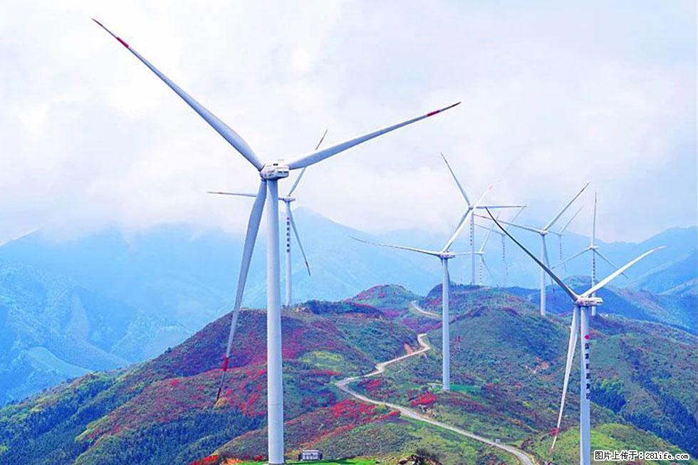 【春天，广西桂林灌阳县向您发出邀请！】春木界上映山红 - 游山玩水 - 开封生活社区 - 开封28生活网 kaifeng.28life.com