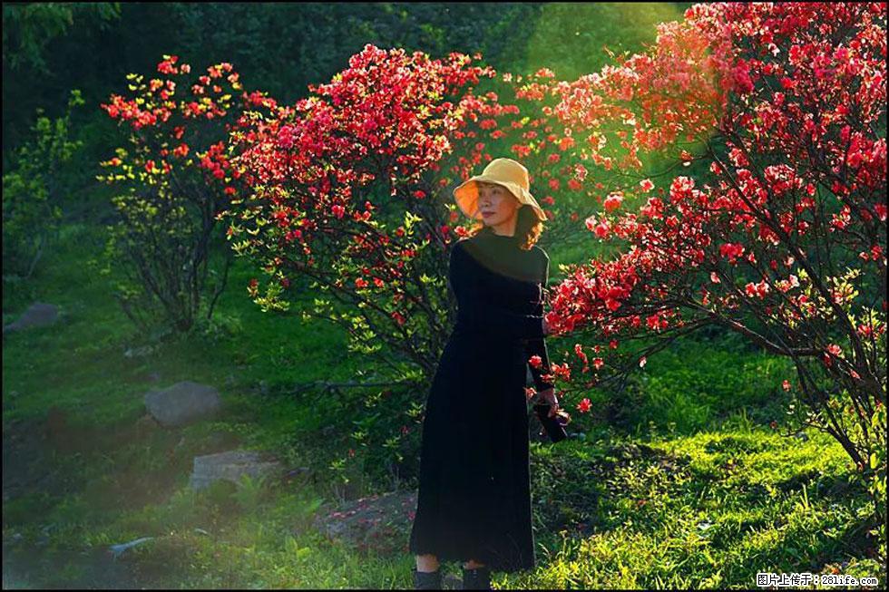 【春天，广西桂林灌阳县向您发出邀请！】春木界上映山红 - 游山玩水 - 开封生活社区 - 开封28生活网 kaifeng.28life.com