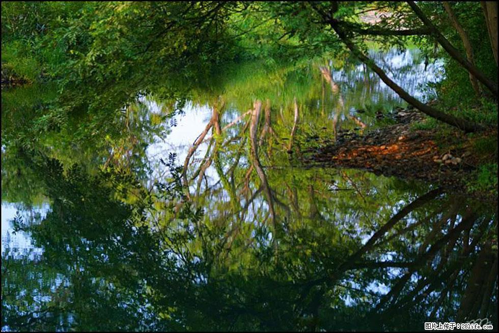 【春天,广西桂林灌阳县向您发出邀请!】熊家寨湿地公园 - 游山玩水 - 开封生活社区 - 开封28生活网 kaifeng.28life.com