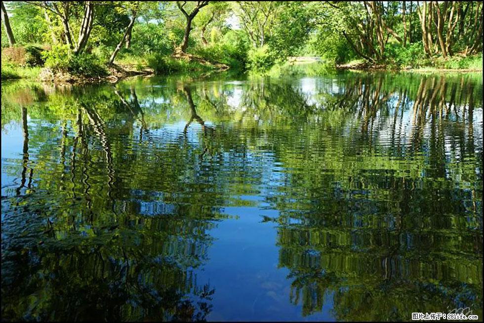 【春天,广西桂林灌阳县向您发出邀请!】熊家寨湿地公园 - 游山玩水 - 开封生活社区 - 开封28生活网 kaifeng.28life.com