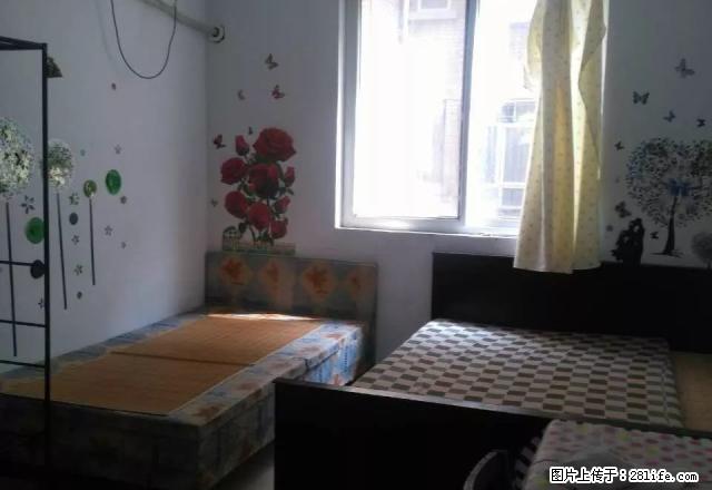 鼓楼广场附近2楼1室一厅有独立厨卫出租 干净 拎包即住 - 房屋出租 - 房屋租售 - 开封分类信息 - 开封28生活网 kaifeng.28life.com