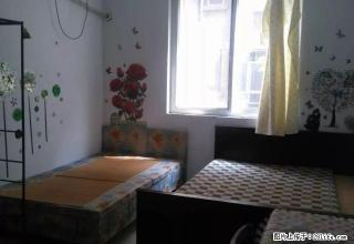 鼓楼广场附近2楼1室一厅有独立厨卫出租 干净 拎包即住 - 开封28生活网 kaifeng.28life.com