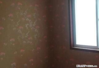 金明区翠园小区4楼精装2室1厅1卫51平方家具家电水电气 - 开封28生活网 kaifeng.28life.com
