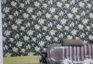 金明区翠园小区4楼精装2室1厅1卫51平方家具家电水电气 - 开封28生活网 kaifeng.28life.com