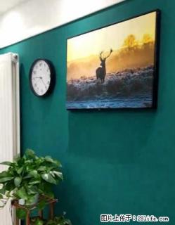 森林半岛 精装 家具家电齐全 拎包入住 ！！！ - 开封28生活网 kaifeng.28life.com