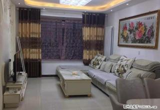 开元上城 精装修 拎包入住 急租 - 开封28生活网 kaifeng.28life.com