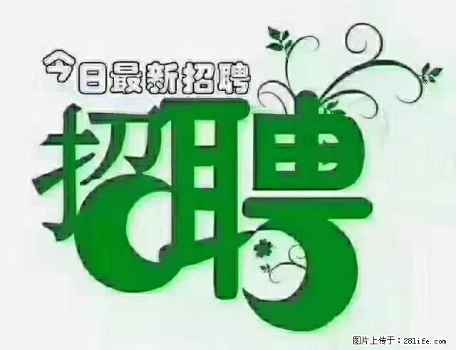 上海青浦区招仓管 - 职场交流 - 开封生活社区 - 开封28生活网 kaifeng.28life.com