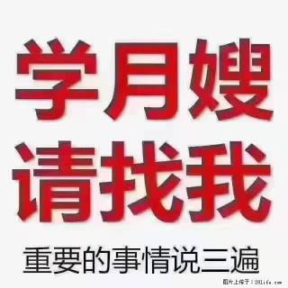 【招聘】月嫂，上海徐汇区 - 开封28生活网 kaifeng.28life.com