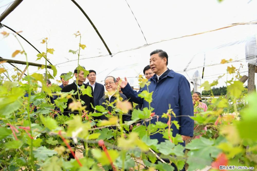 习近平赴广西考察调研 - 开封生活资讯 - 开封28生活网 kaifeng.28life.com