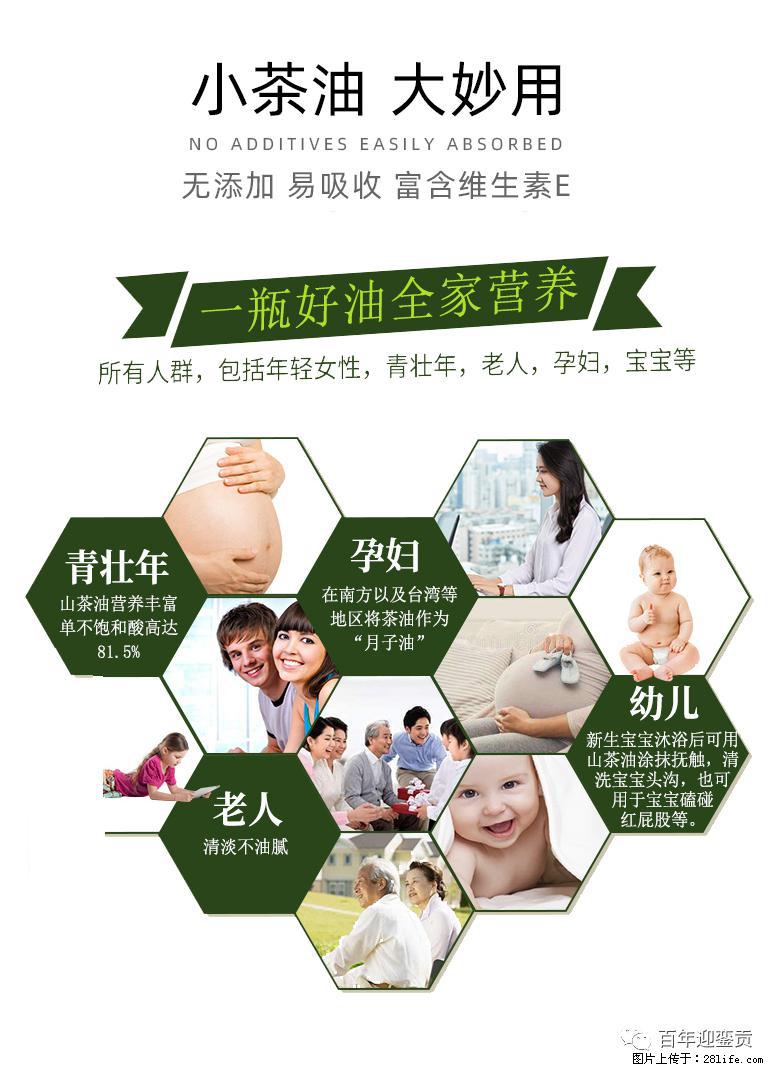 世界没有真相,只有认知,最好的食用油是中国的山茶油! - 开封生活资讯 - 开封28生活网 kaifeng.28life.com