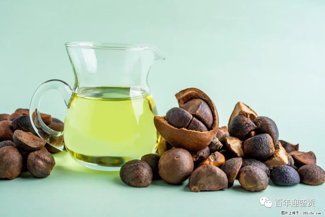 世界没有真相，只有认知，最好的食用油是中国的山茶油！ - 开封生活资讯 - 开封28生活网 kaifeng.28life.com