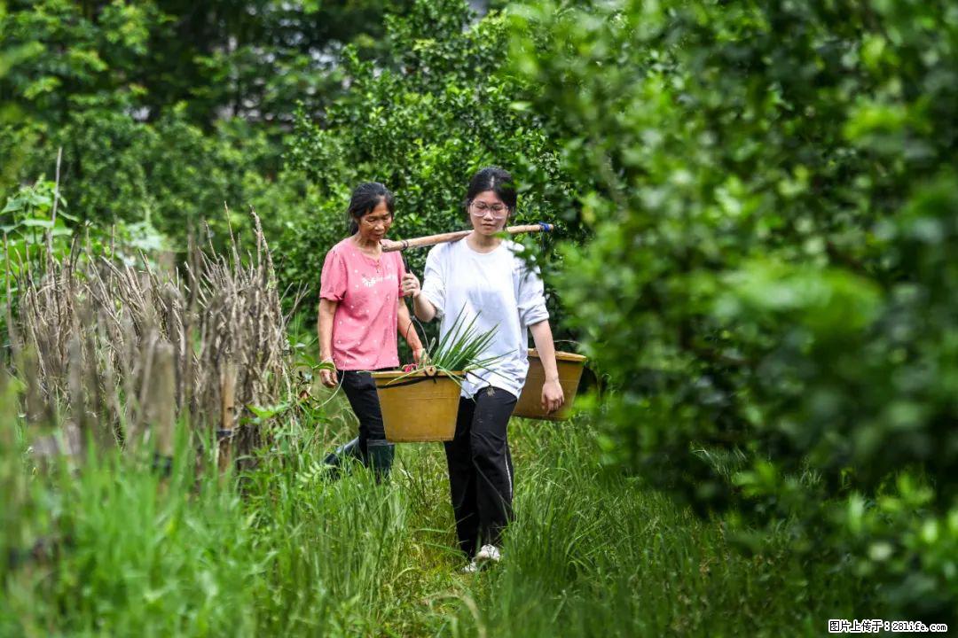 全网追的“扁担女孩”,找了一份暑假工,时薪12元 - 开封生活资讯 - 开封28生活网 kaifeng.28life.com