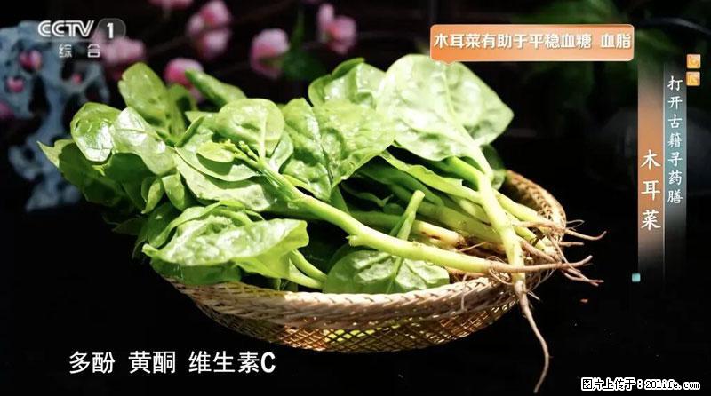 比牛奶补钙还厉害！凉血解毒、稳血糖...这菜冬天必吃，很多人却当草 - 开封生活资讯 - 开封28生活网 kaifeng.28life.com