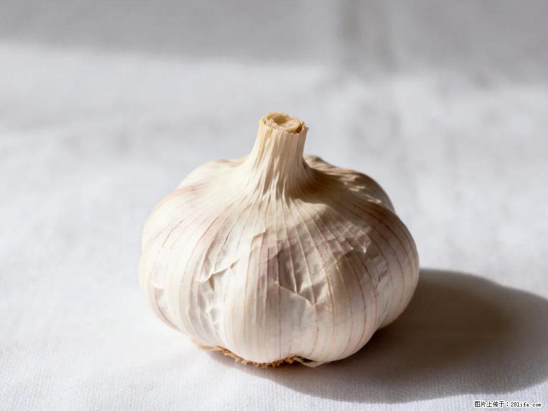 关于大蒜，除了“天然抗生素”，这4个谣言更该警惕! - 开封生活资讯 - 开封28生活网 kaifeng.28life.com
