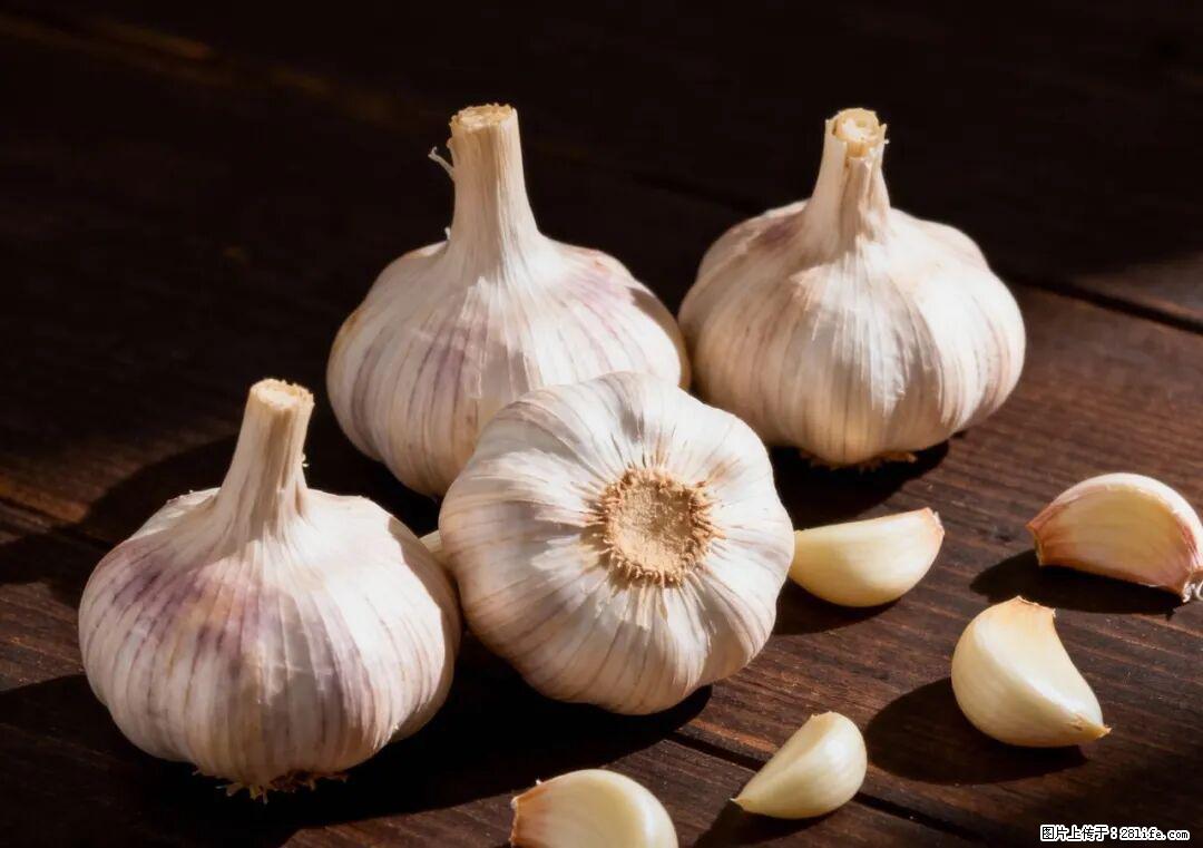 关于大蒜，除了“天然抗生素”，这4个谣言更该警惕! - 开封生活资讯 - 开封28生活网 kaifeng.28life.com