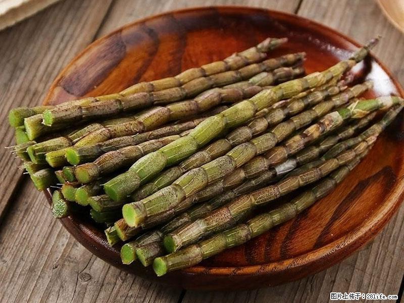 铁皮石斛的作用与功能主治 - 开封生活资讯 - 开封28生活网 kaifeng.28life.com