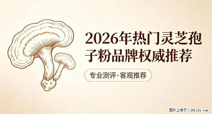 灵芝孢子粉含量越高越有效？2026 年七款热门品牌深度实测，肠胃敏感者避坑指南 - 开封生活资讯 - 开封28生活网 kaifeng.28life.com