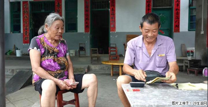 【乡村振兴】广西桂林市灌阳县文市蜂糖李、黄金奈李迎丰产上市季 甜蜜产业助振兴 - 开封生活资讯 - 开封28生活网 kaifeng.28life.com